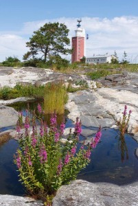 Kylmäpihlajan Majakkahotelli
