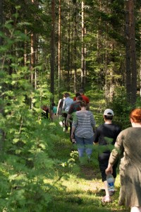 Nokipannukahvit tai laavuruokailu Etelä-Konneveden kansallispuistossa