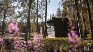 Vaattungin Kämppäkartano: Panorama Hut