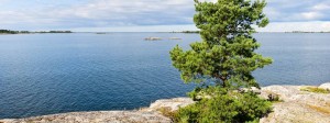 Vepsän Ulkoilusaari